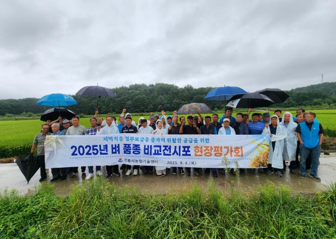 강릉시, 벼 품종 비교전시포 현장평가회 개최