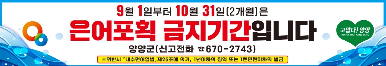 은어포획금지 홍보 이미지(현수막)