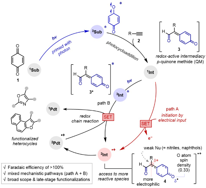 광자-유도 전기화학 시스템에 대한 원리 도식화. 사진=한국연구재단