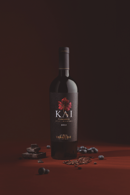 카이아-라인 넥스트, 스테이블코인 슈퍼앱과 SDK 출시