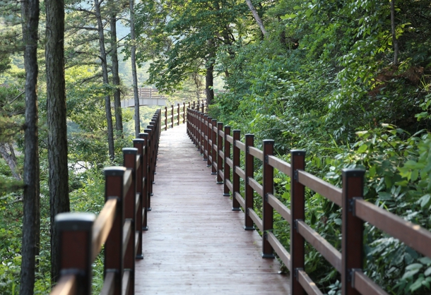 나주시가 오는 17일 ‘나주호 둘레길’ 전면 개통을 앞두고 있다.