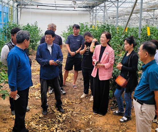 장성군, 고품질 ‘장성 레몬’ 생산 박차