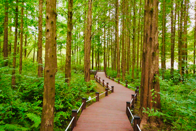 무장애+나눔길(물향기수목원) / 경기도청