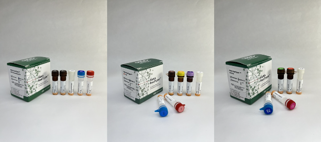 HLB파나진, 감염성 질환 진단 제품 3종 유럽 ‘CE IVDR’ 인증 획득