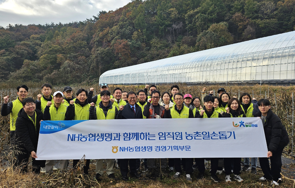 NH농협생명, 김장봉사 및 농촌일손돕기 실시