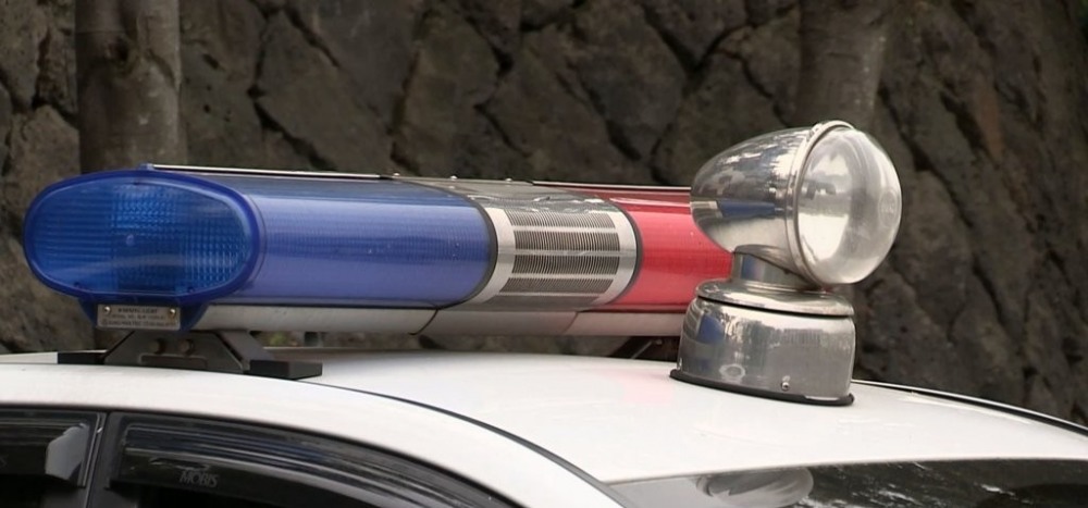 경찰차 사이렌(사진=연합뉴스)