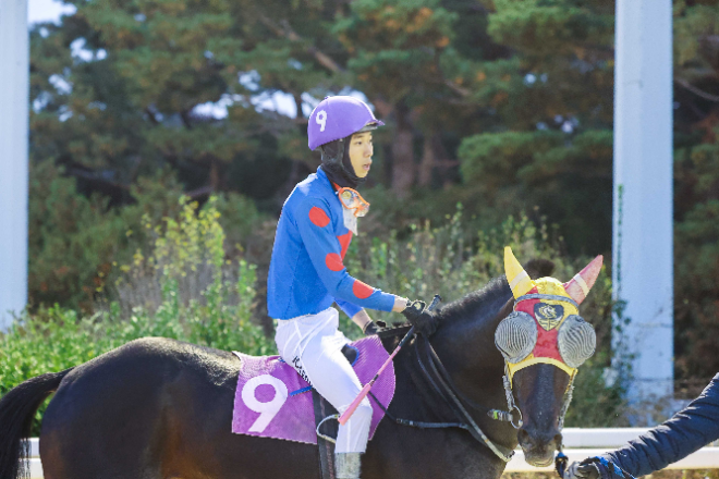 신예의 첫 승부터 연승마의 질주까지...경마계 ‘기록 행진’
