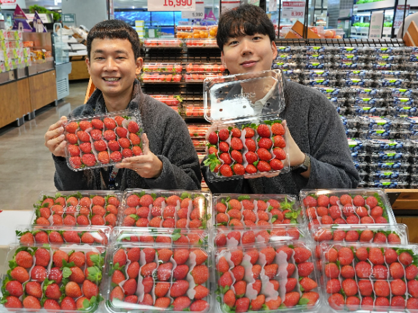 롯데마트, 무라벨 딸기 도입으로 연간 플라스틱 50톤 절감 목표