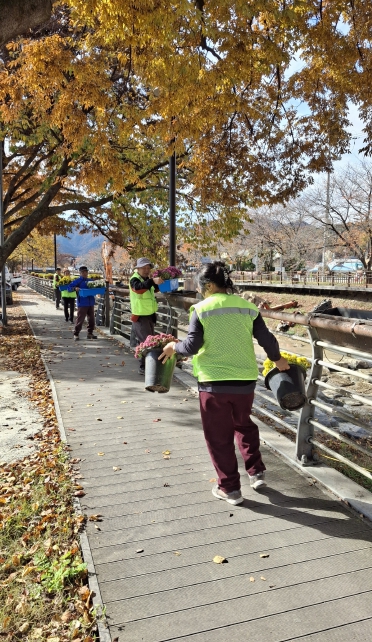 금산군 금산천·금천대교 꽃길화분 철거 모습