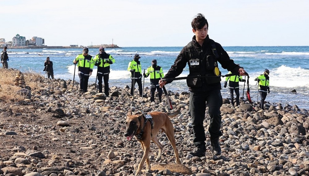 제주 해안가 마약 합동 수색(사진=연합뉴스)