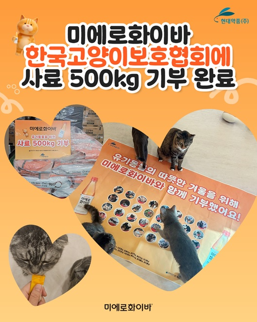 현대약품, 한국고양이보호협회 방문해 유기동물 봉사활동 진행