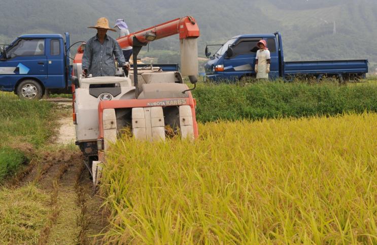 순창군, 친환경 쌀 소비 지원으로 농가·외식업체 ‘상생’