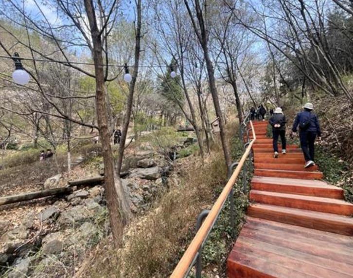 서대문구가 시민 안전과 편의를 위해 안산(鞍山) 연희숲속쉼터를 대대적으로 정비한 모습.
