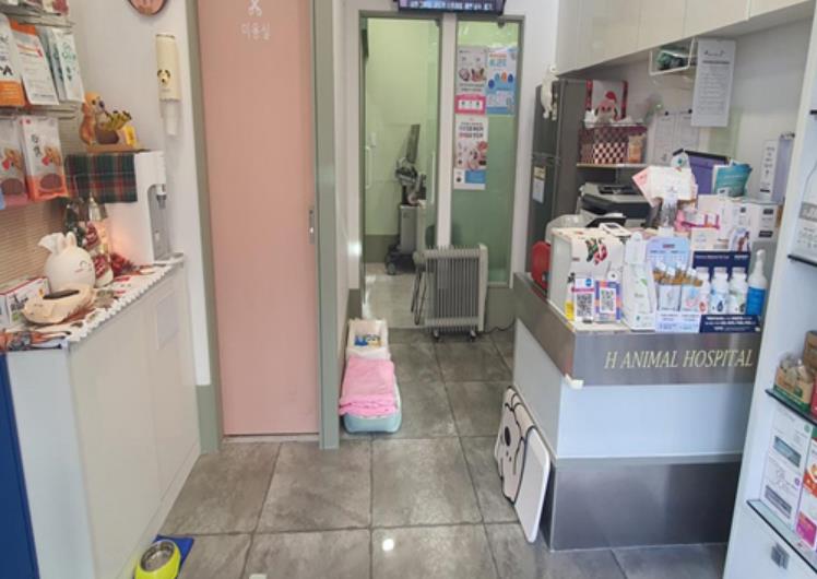 우리동네 펫위탁소 ‘H동물병원’ 운영 사진