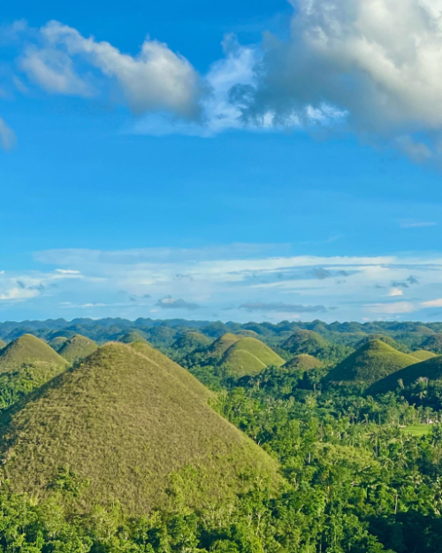 노랑풍선, 보홀 5일 반자유 패키지 출시