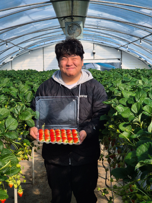 쿠팡, 논산시와 판로 위기 딸기 상품화로 농가 지원