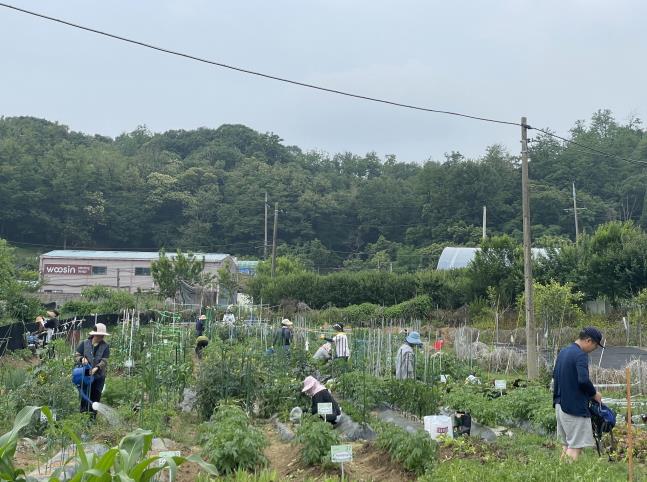 지난해 주말농장 참여자들이 농업 체험을 하고 있다.