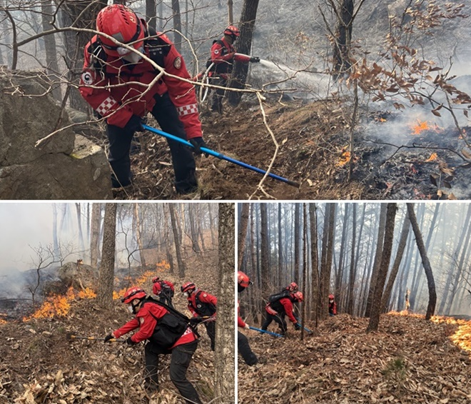 (사진제공=산림청)