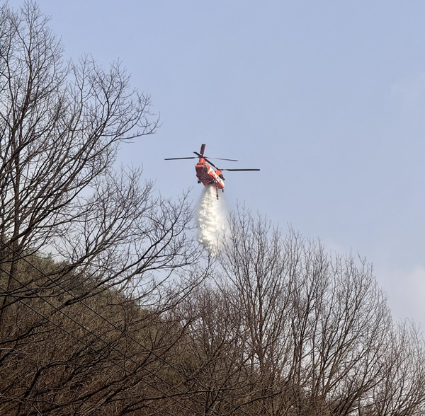 산불진화헬기가 산불 현장 상공에서 물을 투하하고 있다.(제공=산림청)