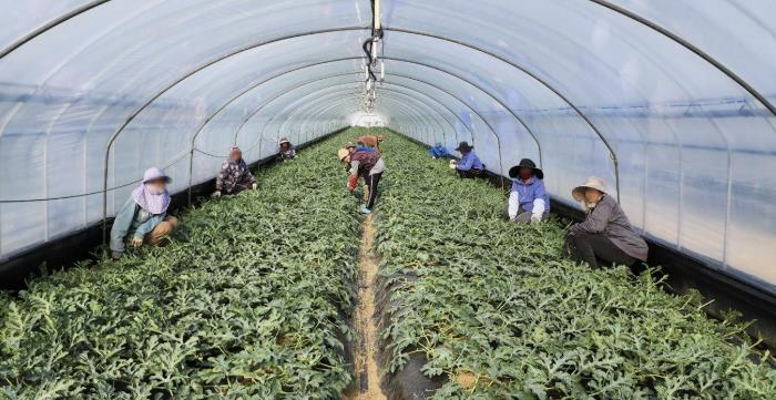 청주시, 2026년 상반기 외국인 계절근로자 421명 도입