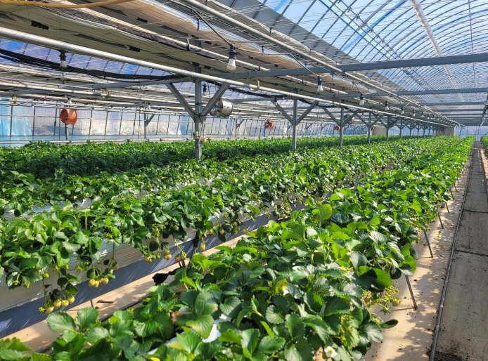 시설원예 분야 지원사업 본격 추진