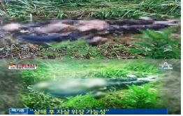 ▲유병언사체가처음발견됐을때현장사진