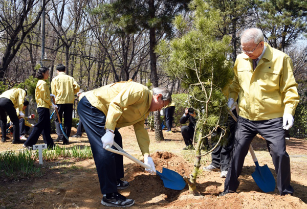 대법원청사에서소나무를심는고영한법원행정처장(좌)과양승태대법원장/(사진=대법원)