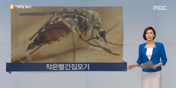(사진=‘MBC 뉴스’방송화면 캡처)