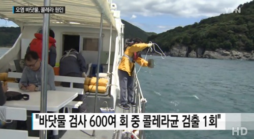 사진=YTN 방송캡처
