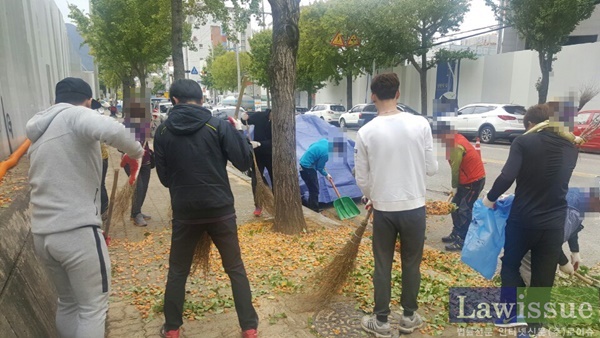 사회봉사명령대상자들이 주민센터 직원 등과 은행아무 열매 줍기 작업을 하고 있다.(사진제공=창원준법지원센터)
