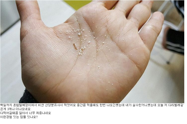 사진=커뮤니티 캡처