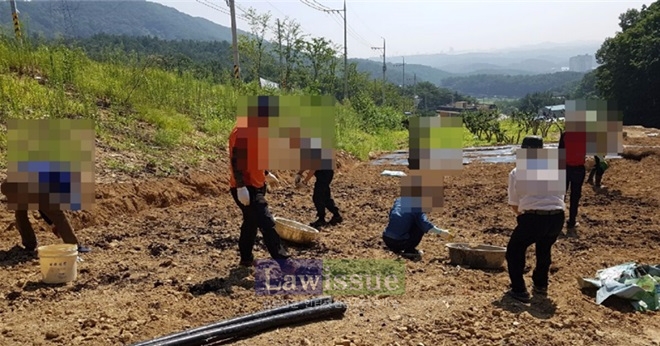 사회봉사명령대상자들이 농촌일손돕기를 하고 있다.