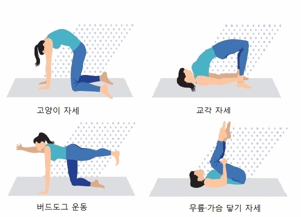 허리 근육 강화 운동으로 척추 바로 세우기