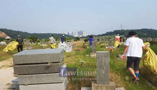 사회봉사명령대상자들이 울산공원묘원 환경정화활동을 벌이고 있다.