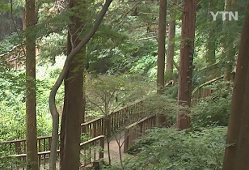 누드펜션, 다시 연다는 소식에...분개한 주민 '제재할 방법이 없다?'