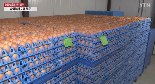 바퀴벌레에 쓸 것이...왜 거기에 살충제 달걀, '유럽사회 발칵 일파만파'