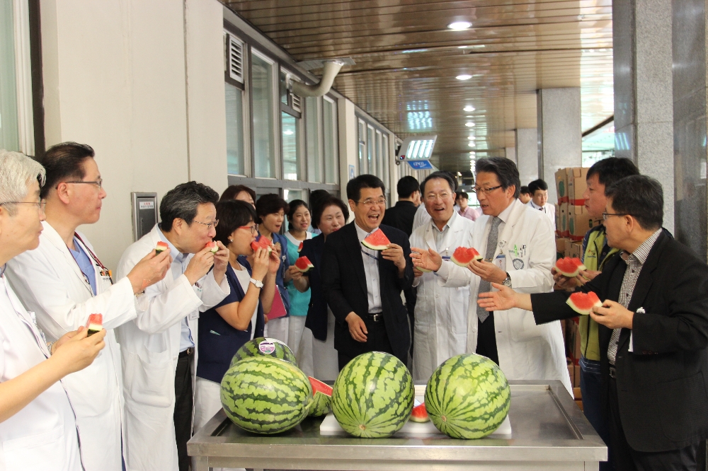 ▲왼쪽부터 김성수 경희대한방병원장, 박영국 경희대치과병원장, 김건식 경희대병원장, 임영진 의무부총장 겸 의료원장, 김영준 노동조합 지부장, 이종훈 적절관리실장(사진= 경희의료원 제공)