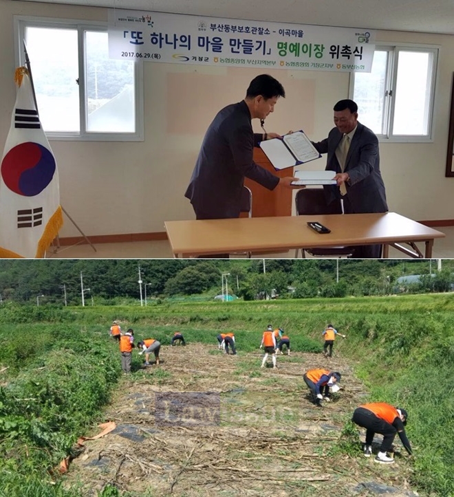 (위)권을식 소장이 명예:이장 위촉장을 받고 있다, (아래)농촌일손돕기를 하고 있는 사회봉사대상자들.