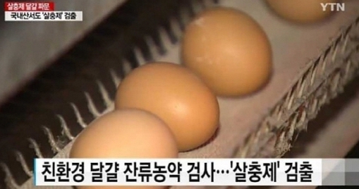 살충제 계란, 잠잠하다 수면 위...이미 예견된 '케이지' 방식이 문제?