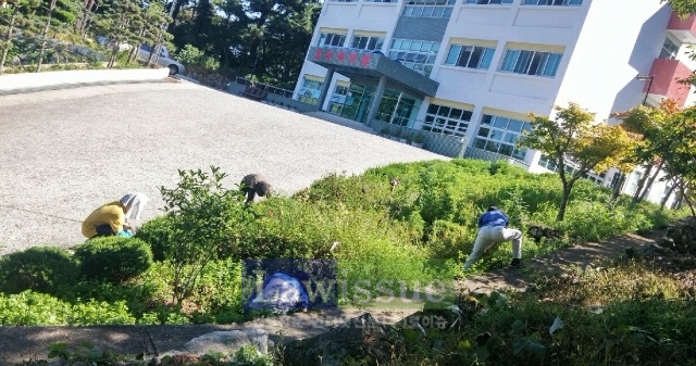 사회봉사대상자들이 복지시설 주변환경을 정리하고 있다.