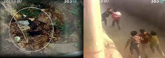 아직도 미궁 속인 지난 1991년...개구리소년 사건, 다시 수면 위