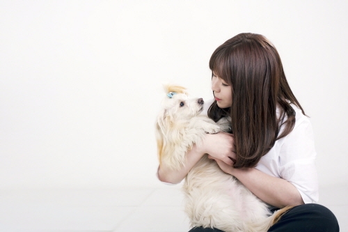 내 반려견에게 필요한 올바른 강아지 교육방법을 아시나요?