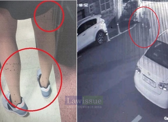 액체구두약을 뿌린 흔적과 CCTV 피의자 모습.