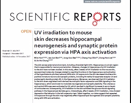 (사진=서울대병원)