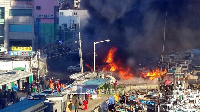 (사진=시민 김환동씨)