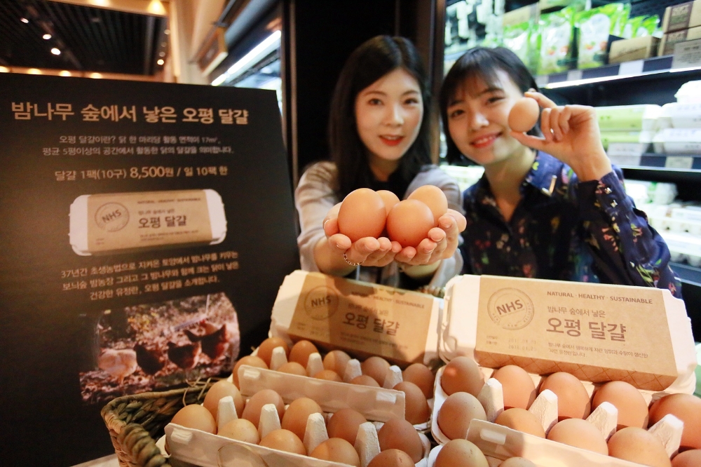 밤나무 숲에서 낳은 '오평 달걀' (사진=갤러리아명품관)