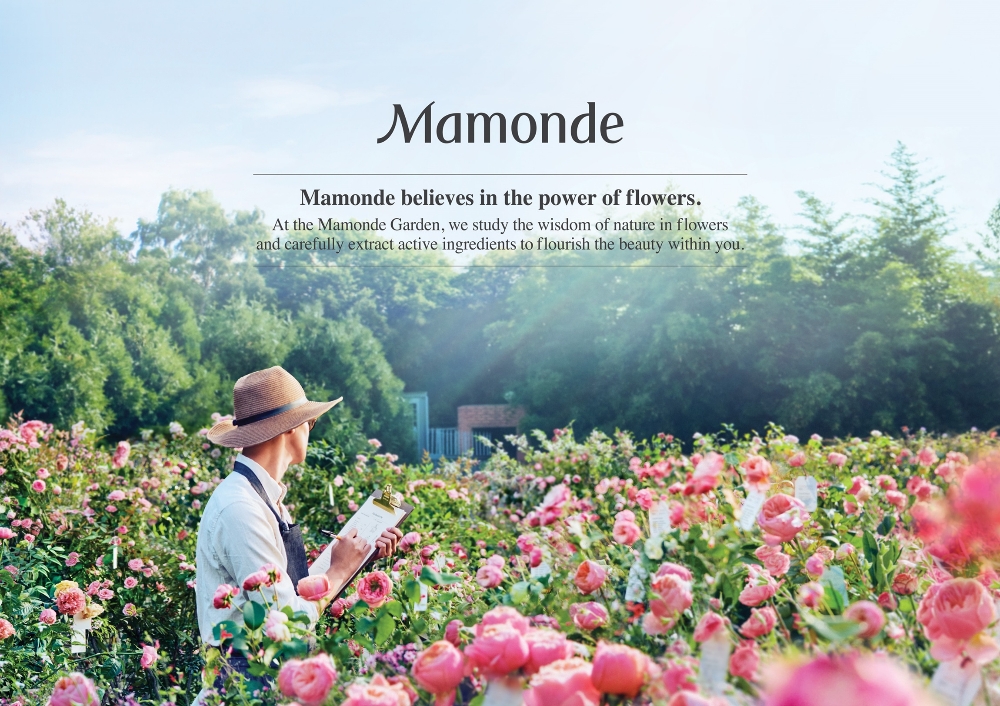 마몽드, 미주 시장 본격 진출