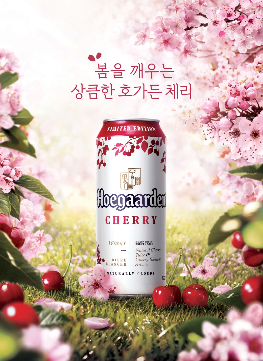 오비맥주, 호가든 체리 출시