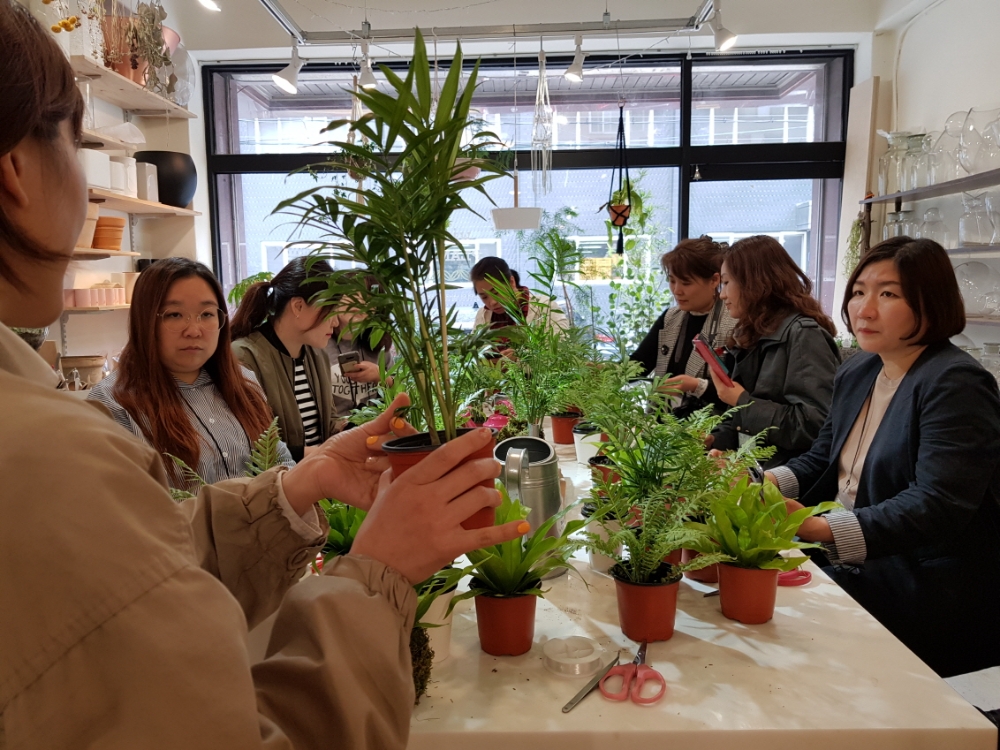 훼라민큐 플랜테리어 원데이클래스 (사진=동국제약)