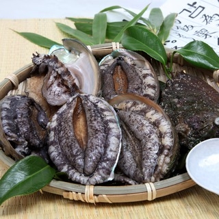 전복판매 이미지. (사진=수협중앙회)